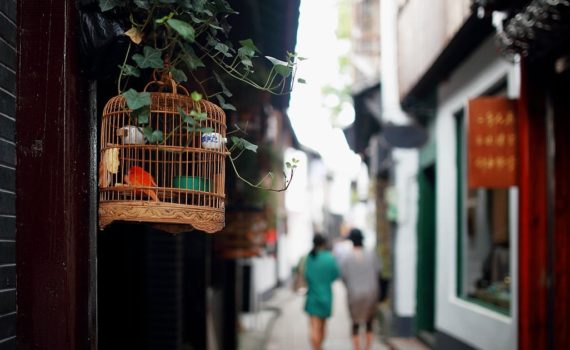 Zhujiajiao water town, Shanghai car rental