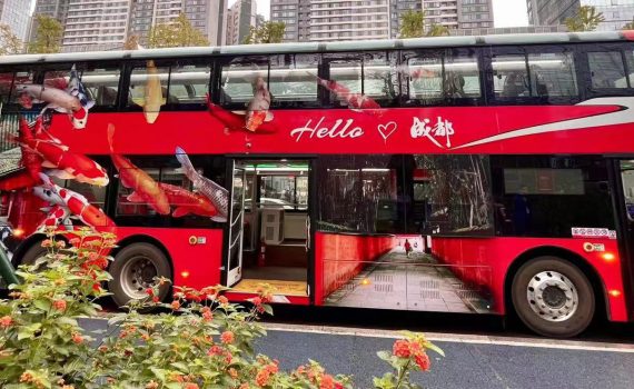 Autobús turístico de Chengdu
