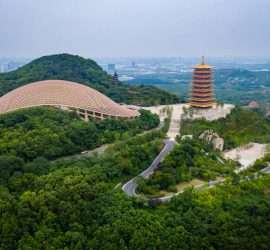 Nanjing English-Speaking Driver